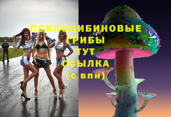 таблы Алексеевка