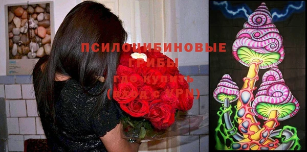 таблы Алексеевка