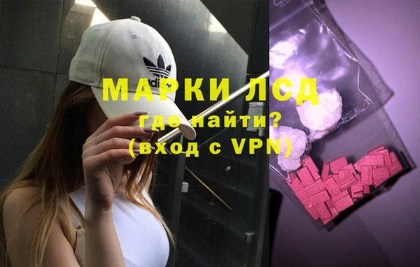 СК Алзамай